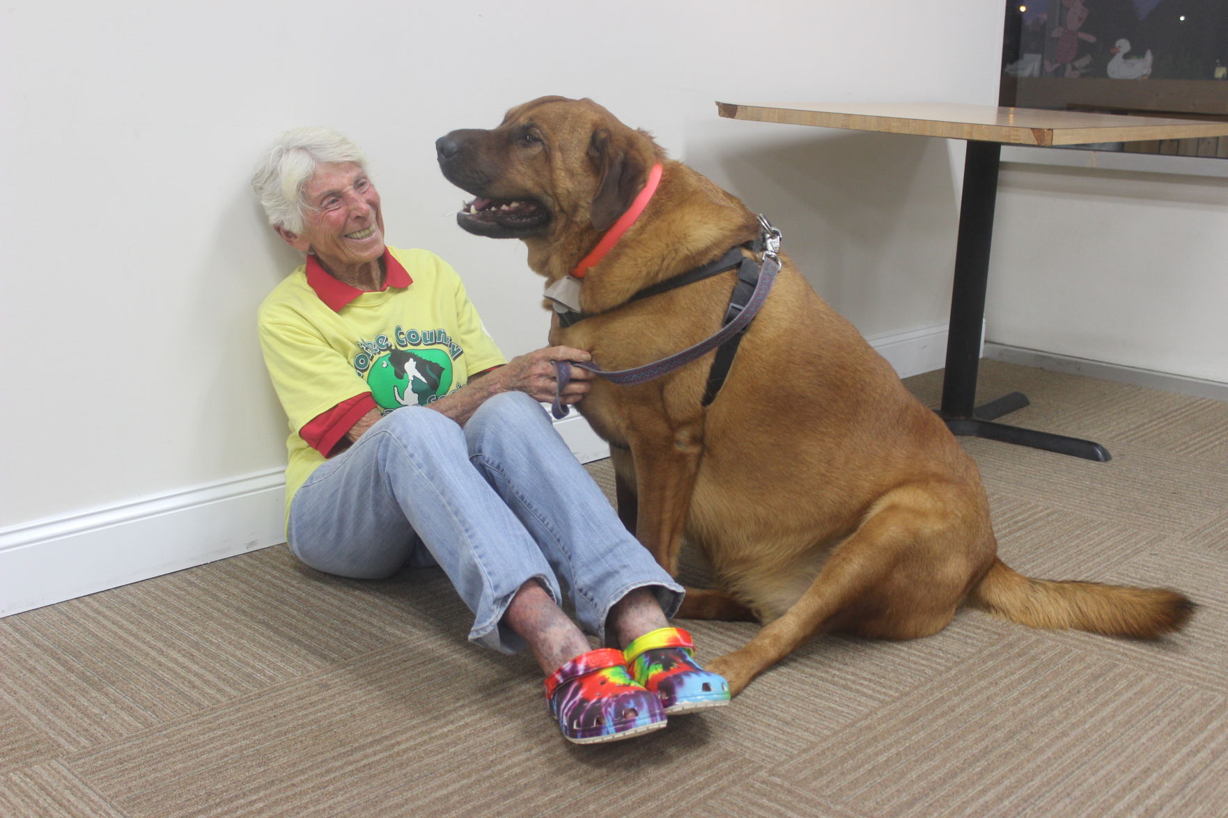 humane society sally.JPG